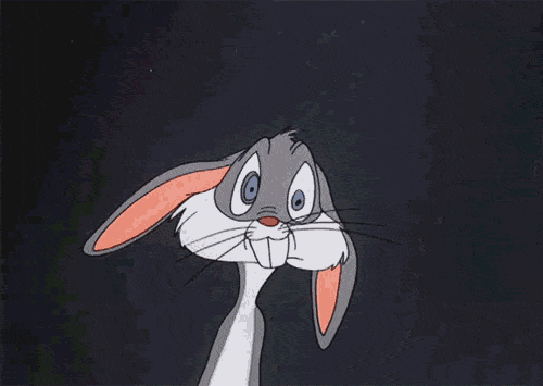 A crazy rabbit